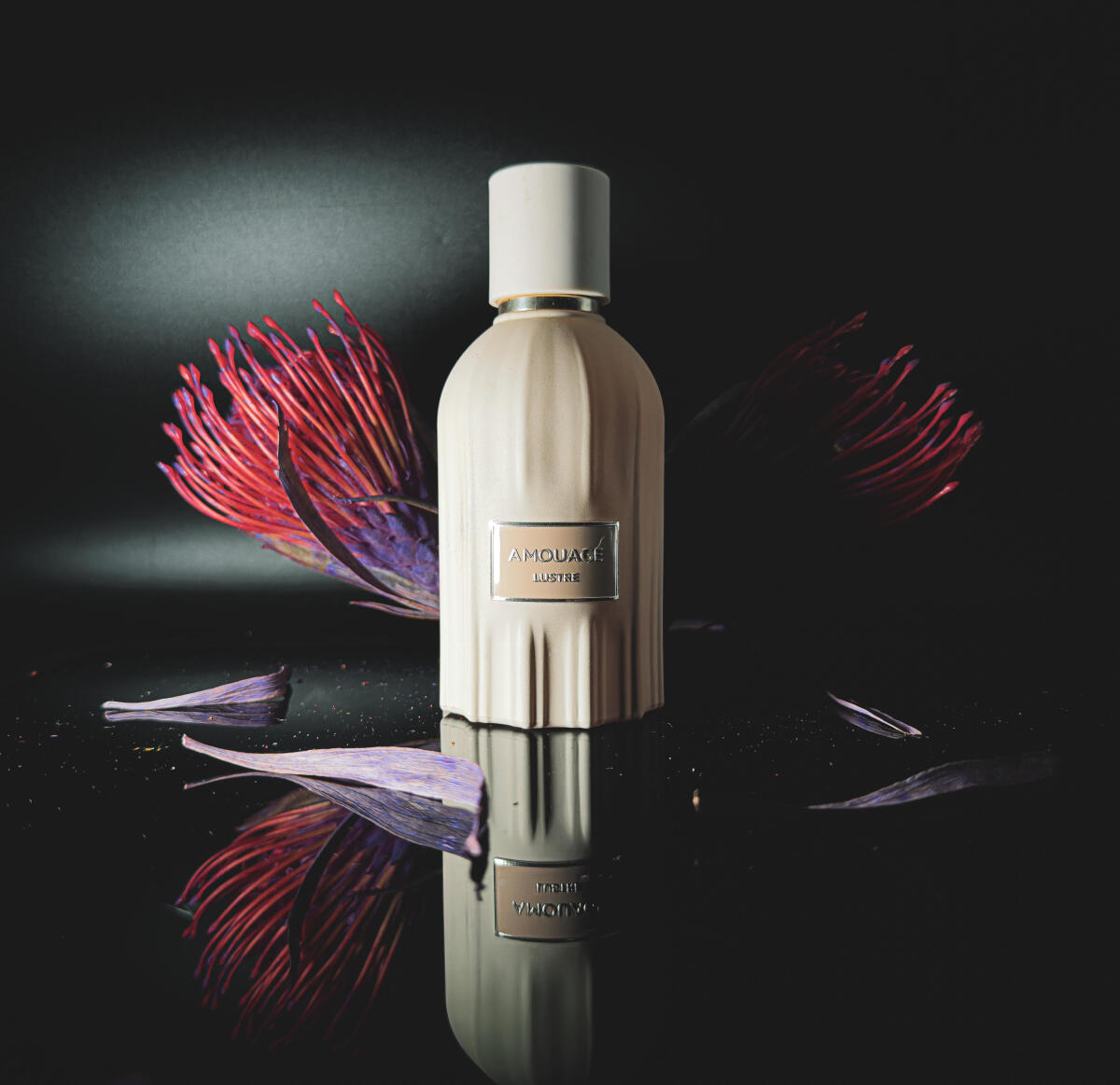 Perfume Amouage Lustre 100ml L - Perfume Fragrance Details avaliação e preço